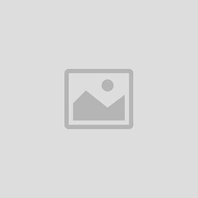 Valentina Dress – Aqua green Logo Classic Print