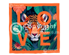 Tiger #01